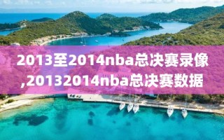 2013至2014nba总决赛录像,20132014nba总决赛数据