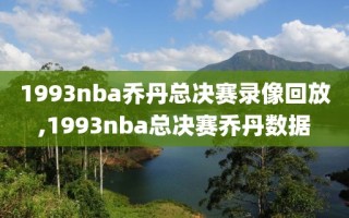 1993nba乔丹总决赛录像回放,1993nba总决赛乔丹数据