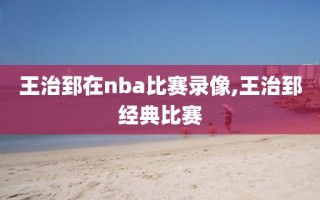 王治郅在nba比赛录像,王治郅经典比赛
