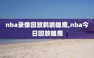 nba录像回放鹈鹕雄鹿,nba今日回放雄鹿