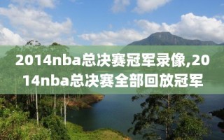 2014nba总决赛冠军录像,2014nba总决赛全部回放冠军