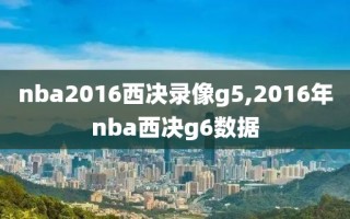 nba2016西决录像g5,2016年nba西决g6数据