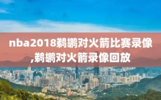 nba2018鹈鹕对火箭比赛录像,鹈鹕对火箭录像回放