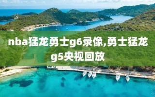 nba猛龙勇士g6录像,勇士猛龙g5央视回放