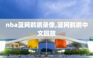 nba篮网鹈鹕录像,篮网鹈鹕中文回放