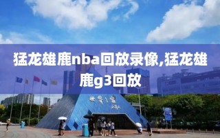 猛龙雄鹿nba回放录像,猛龙雄鹿g3回放