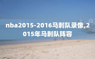 nba2015-2016马刺队录像,2015年马刺队阵容