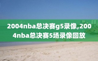 2004nba总决赛g5录像,2004nba总决赛5场录像回放