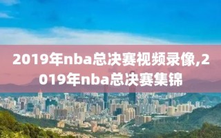 2019年nba总决赛视频录像,2019年nba总决赛集锦