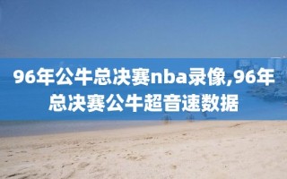 96年公牛总决赛nba录像,96年总决赛公牛超音速数据
