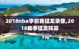 2018nba季前赛猛龙录像,2018赛季猛龙阵容