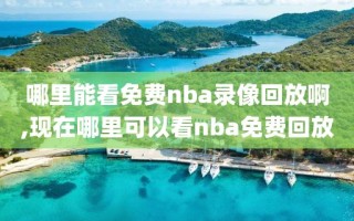 哪里能看免费nba录像回放啊,现在哪里可以看nba免费回放