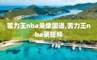 苦力王nba录像国语,苦力王nba录视频